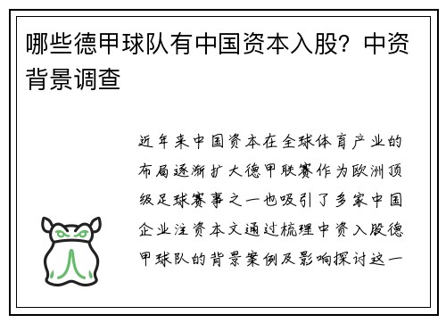 哪些德甲球队有中国资本入股？中资背景调查
